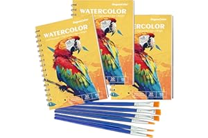 DagouColor Spiral Aquarell Papier Set, 3 Pack, 30 Blätter Künstler Malerei Zeichnung Papier Buch mit 6 Pinseln, 300gsm 14 x 21.6cm Kunstzubehör für Erwachsene Kinder