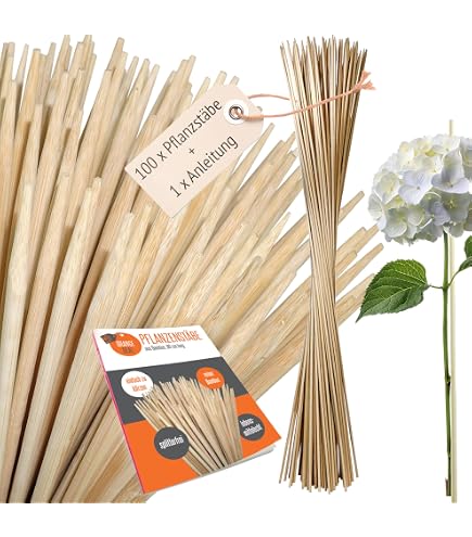 Bambusstab 24 - 27 240 cm : Amazon.de: Garten