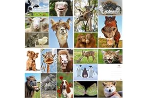 Edition Colibri Set di cartoline con animali, divertenti e carine provenienti da tutto il mondo, per bambini, amici, regali di squadra e postcrossing, fatti a mano, prodotti in Germania, prodotti in