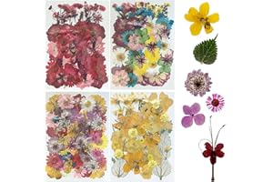 Woohome 200 Pz Naturales Flores Prensadas Secas, Hojas Prensadas Secas Naturales, Flores Secas Reales para Resina para Resina Scrapbooking, Joyería de Resina Epoxi