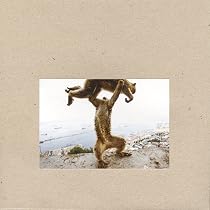 1000 Hurts: Shellac: Amazon.it: CD e Vinili}