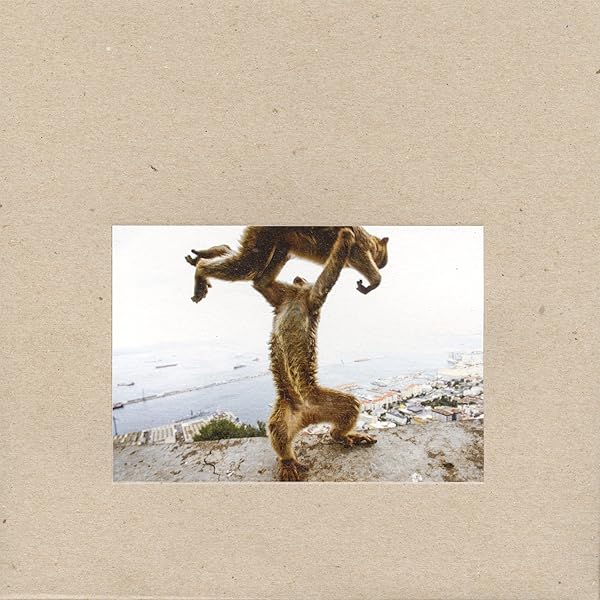 Excellent Italian Greyhound: Amazon.com.be: CD et Vinyles
