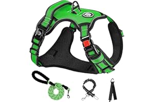 NESTROAD Green Dog Harness, No Pull Puppy Dog Car Vest Harness and Lead Set, Size S for Small Dogs of Neck 11-15" Chest 15-21", Reflective No-Choke, Essential Pets Accessories for Training Walking