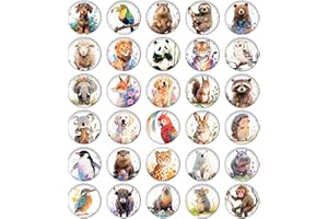 ‎BIROYAL BIROYAL 30 STK. Magnete Kinder - 3D Kühlschrankmagnete für Kinder - Tier Magnete für Magnettafel, Kühlschrank, Whiteboard, Pinnwand - Kühlschrankmagnet - Geschenke für Kind
