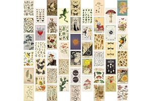 GROBRO7 50Pcs Vintage Botanical Wall Collage Kit, Aesthetic Picture Indie Room Decor, Art Posters for Dorm Wall Decor, Wall Art Prints for VSCO Girls Boys, Bedroom Decor for Primitive Creature Lovers