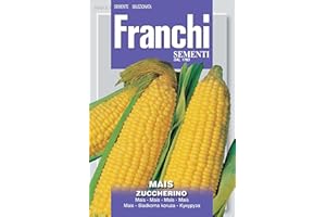 SEEDS OF ITALY LTD Mais ZUCCHERINO