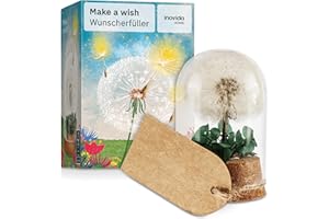 Pusteblume im Glas : Echte Pusteblume als Glücksbringer – Kleines Geschenk mit Grußkarte – Dankeschön Geschenk – Aufmunterung Geschenke – Dankeschön Geschenke Klein – Glücksbringer Prüfung – Inovida