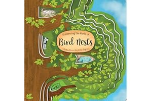 Discovering the World of Bird Nests (Happy Fox Books) One-of-a-Kind Board Book for Kids Ages 2 to 5 to Learn About Nests in an Oak Tree - Extra-Thick Board Pages, Fun Facts, and Vocabulary Words