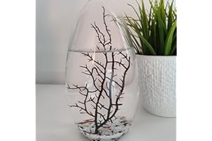 EcoSphere - Kleines Ei 13 cm hoch,das populärste Ökosystem nach einer Technologie der NASA