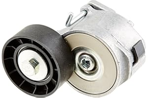 INA 534 0610 10 Braccio tenditore Cinghia Poly-V