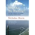 Why are We Waiting?: The Logic, Urgency, and Promise of Tackling Climate Change (Lionel Robbins Lectures)