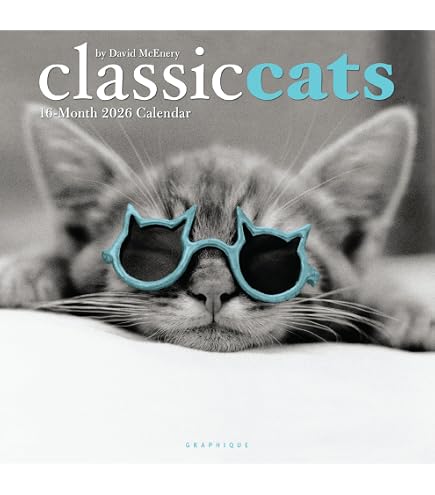 Calendrier Mural 2026 A4 - Wacky World Of Cats - Humour Et Chats - Carousel Worldwide