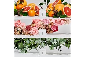 Fussy - Natural Deodorant Refill - Pack of 3 - Aluminium Free - Variety Pack - 24 Hour Protection - 100% Effective - Citrus, Floral & Mint - Vegan & Cruelty Free - 3 x 40g Refills