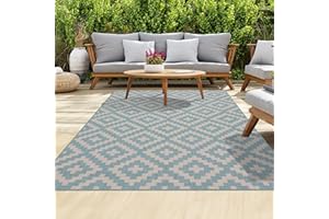 homeart Outdoor Rugs | Easy-Cleaning Indoor & Outdoor Area Rugs for Porch, Deck, Balcony, Garden, Picnic, Kitchen, Hallway | UV & Weather-Resistant Large Patio Rug Mats Aqua Cream, 80 x 150 cm