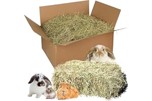 Natursache I frisches Heu aus Bioanbau - Gesunde Nahrung & Einstreu für Kaninchen, Meerschweinchen & Nager. Staubarm. Ideal für die Heuraufe