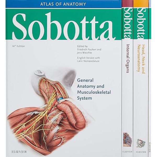 Sobotta Anatomy Textbook: English Edition with Latin
