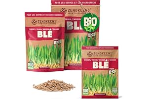 ZenGreens® - Graines de blé bio - Choisissez entre 10g, 200g et 500g - Graines de blé avec un taux de germination supérieur à 97% - Microgreens