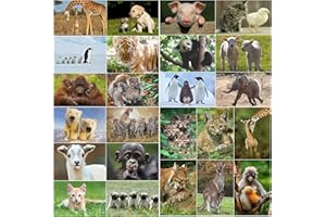 Edition Colibri 24 cartoline di animali (24 cartoline di animali diversi) di simpatici bambini animali e mamma con bambini per collezionisti o postcrossing