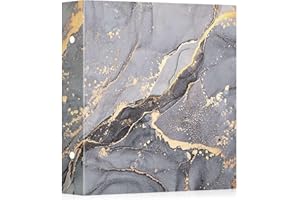 Lanpn Album de Fotos 10x15 600, Cuero Gran capacidad Album para Photos Bolsillos Verticales Horizontal Gris Oro