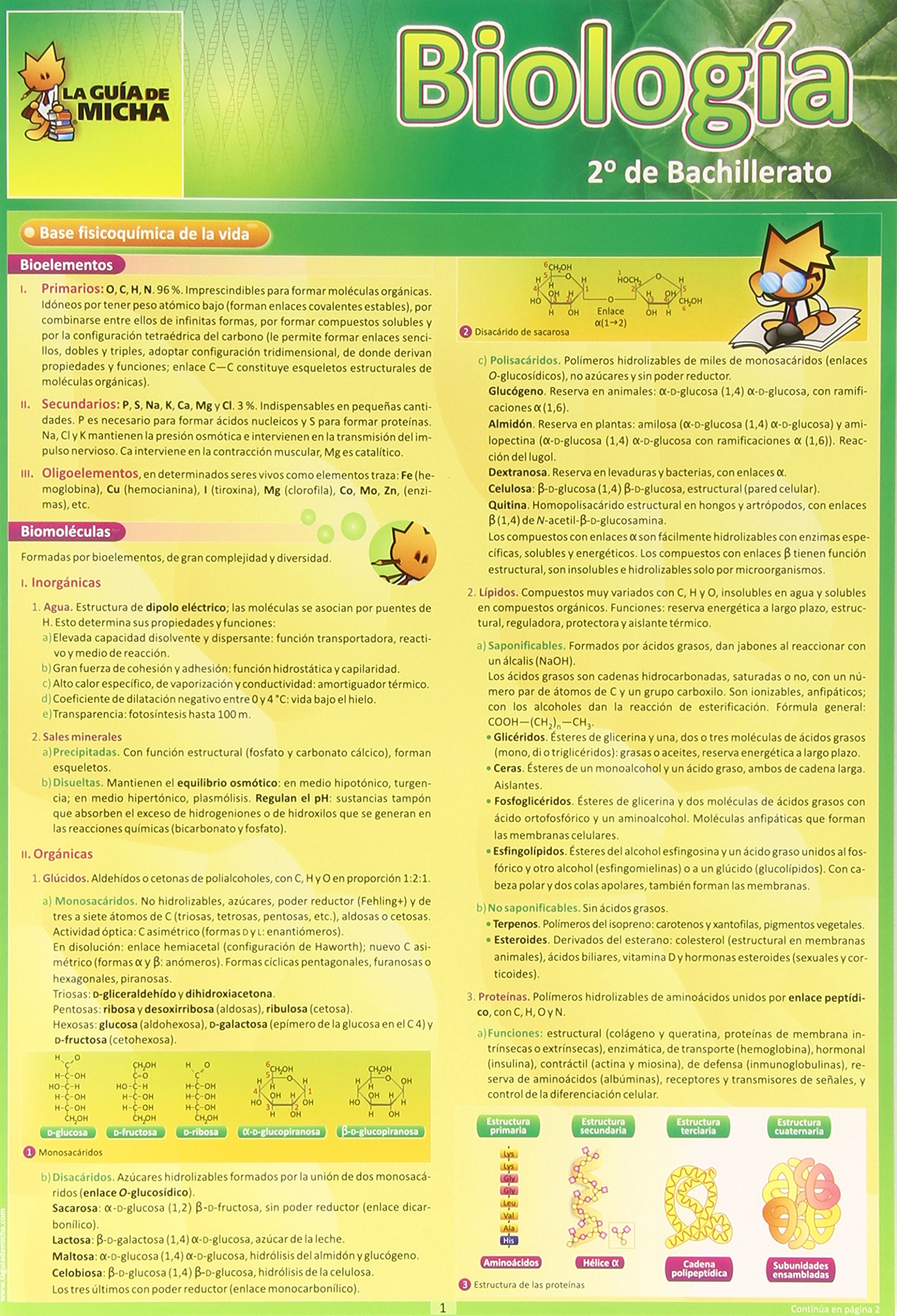 La Guía de Micha: Biología 2º de Bachillerato