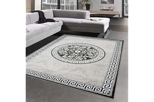 CARPETIA Designerski dywan, wzór Versage, szary/czarny, wymiary 200 x 280 cm