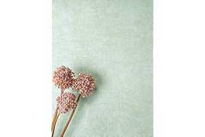 Newroom Tapete Grün Vliestapete Einfarbig - Unitapete Uni Mint Hellgrün Textur Struktur Modern inkl. Tapezier-Ratgeber