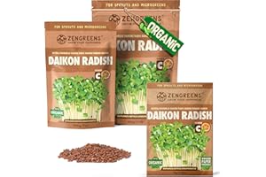 ZenGreens® - Organiczne nasiona rzodkiewki - Wybierz pomiędzy 10, 200 g i 500 - nasiona rzodkiewki o zdolności kiełkowania ponad 97% - nasiona rzodkiewki kiełki