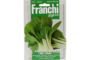 SEEDS OF ITALY LTD SEMI DI CAVOLO CINESE PAC-CHOY - FANCHI SEMENTI - SEMENTI SELEZIONATE DBO 35/10 BUSTINA GR 8