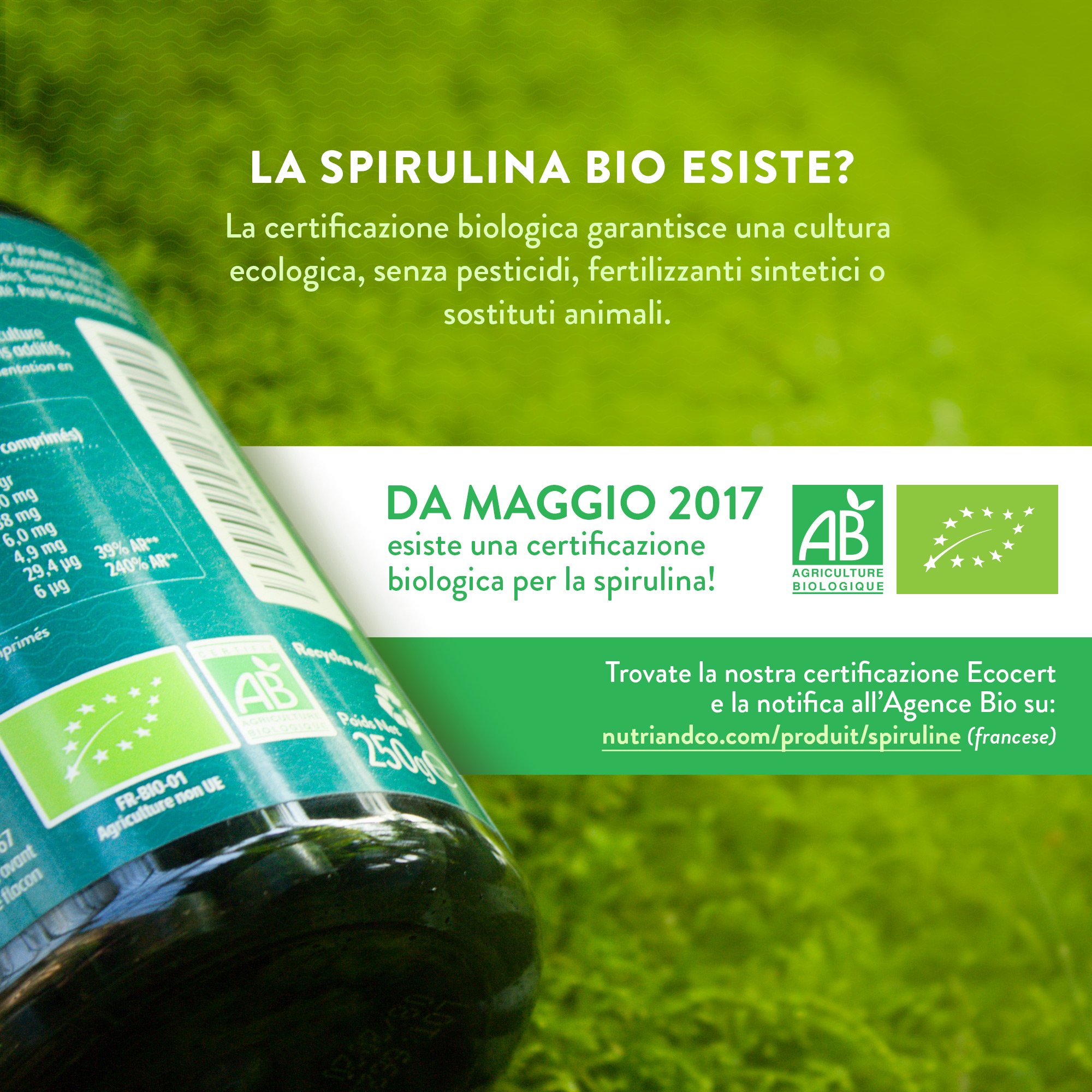 Spirulina Biologica 500 Compresse Bio da 500 mg Pure Senza Eccipienti