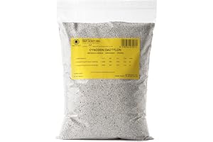 R&R SHOP - Resistenta Meadow Seeds, Cynodon Dactylon, US Origin, Hot Resistant & Tork, Walkable (900gr-90m2)