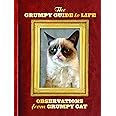 The Grumpy Guide to Life: Observations from Grumpy Cat
