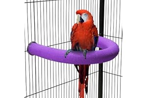 TeTupGa Soporte de perca para loros en forma de U, juguete para mascotas, plataforma para pájaros, arena para moler patas de arena, jaula de palo limpio, ejercicio, conure, periquito, cacatúa,