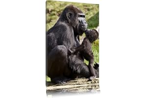 Gorilla bébé embrassant sa mère Toile, XXL photos complètement encadrée avec de grandes images de coin, art impression sur la photo murale avec cadre, moins cher que la peinture ou une peinture à l'huile, pas une affiche ou bannière