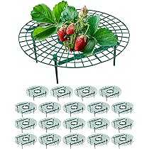 Set 5 Supporti Per Fragole E Piante - Regolabili, Con 4 Gambe, Anti Lumache E Marciume - Foto 6