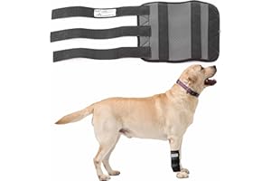 NATURE PET - Attelle de Maintien pour Chien CarpoLock Sport - Noir - XL