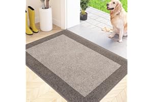 FCSDETAIL Felpudo Entrada Casa 60 x 90 cm, Alfombra Antideslizante y Lavable en Lavadora, Alfombra Atrapapolvo Absorbentes para Perro, Entrada, Puerta, Pasillo