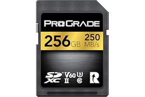 Scheda SD UHS-II da 256GB V60: velocità di scrittura fino a 130MB/s e velocità di lettura 250MB/s | Per professionisti, cineasti, fotografi e curatori di contenuti - Di Prograde Digital