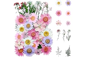 Getrocknete Blüten,Kaluofan Natürliche Getrocknete Blumen, Dried Flowers, Getrocknete Blumen für DIY-Schmuck,Gemischte Getrocknet Trockenblumen Deko für Kunst Basteln DIY Harz Scrapbooking Lesezeichen