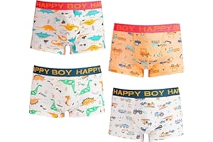 DECOVICI Unterhosen Jungen 4er Pack, Boxershorts Kinder 2-12 Jahre Weiche Unterwäsche Kleinkinder Dinosaurier Raum Schlüpfer