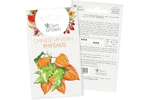 Grow Your own Physalis Plants: Premium Chinese Lantern Seeds for Planting ca. 30 Tasty Garden and Balcony Plants - Exotic Fruit Seeds - Seed for Chinese Lantern Plant - Berry Seeds Fruit by OwnGrown