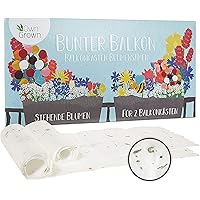 Bunter Balkon Blumenmischung - 2 Premium Saatteppiche für Balkon Blumen zum einfachen Anbau, Sommerblumen und…