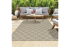 homeart Outdoor Rugs | Easy-Cleaning Indoor & Outdoor Area Rugs for Porch, Deck, Balcony, Garden, Picnic, Kitchen, Hallway | UV & Weather-Resistant Large Patio Rug Mats | Beige Cream, 80 x 150 cm