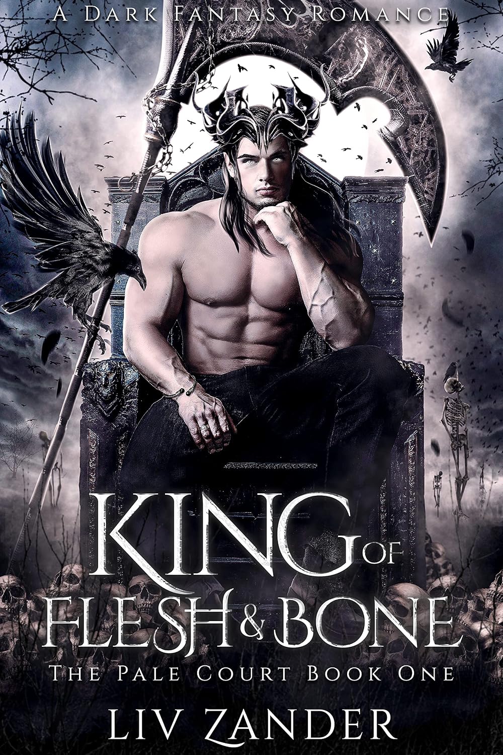 Feathers so Vicious: A Dark Fantasy Romance (Court of Ravens Book 1) (English Edition) - Mise en situation et utilisation