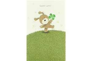 UK Greetings | Good Luck Greeting Card | Exams/University/New School | Her/Him | Cute Bear with 4 Leaf Clover Design | With Envelope | 127 x 190 mm