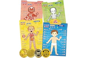 BEST LEARNING i-Poster My Body - Interactive Educational Human Anatomy Talking Toy to Learn Body Parts, Organs, Muscles and Bones for Kids Aged 5 to 12 Years Old - Ideal Educational Birthday Gift