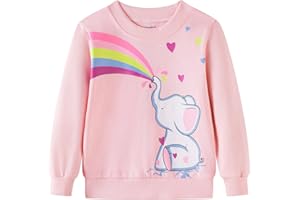 JUNELLZ Girls Clothes 2-8 Years Rainbow Girls Jumpers 2-8 Years Kids Clothes Pink Girls Sweatshirt Toddler Girls Tops for Girls T Shirts
