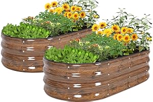HEALSTOK Pack of 2 Galvanised Raised Bed Kit, 120 x 60 x 30 cm Metal Planter for Vegetables, Flowers and Herbs - Outdoor Gardening with Easy Assembly (Cereals, 120 x 60 x 30 cm / 2 Pieces)