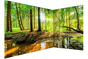 murando Carta da parati d'Angolo Adesiva Foresta Paesaggio 539x250 cm Fotomurali Adesivi Murali Rivestimento Parete Moderna per Pareti Muro Decorativo Fotomurale Natura Alberi verde Sole c-B-10040-a-a