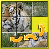 cubre los animales salvajes más común que los niños les encanta así como algunas menos conocidas. Por ejemplo vaca, Chita, leones marinos, gato, caballo, tigre, cocodrilo, León, chimpancé, hipopótamo, ovejas y muchos otros.