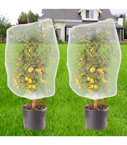 100 Stück Obstschutzbeutel Mit Kordelzug - Atmungsaktive Pflanzenschutznetze Für Garten